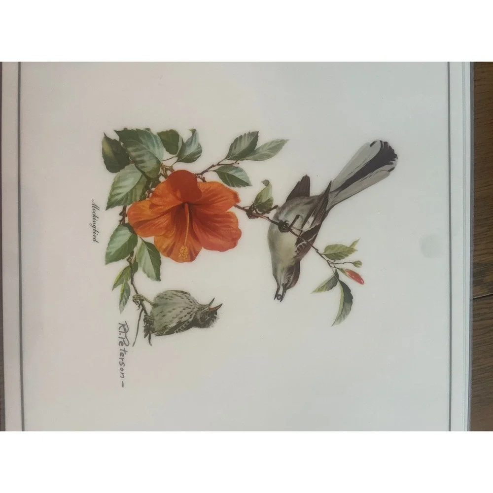 Vintage Roger Tory Peterson Songbird Placemats Set of 6 Nature Bird Art Decor